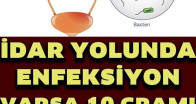 İdrar Yolu Enfeksiyonuna Doğal Çözüm