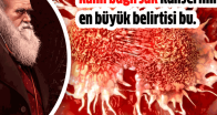 Kalın Bağırsak Kanserinin En Büyük Bulgusu