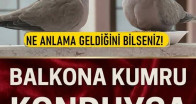Pencereye Kumru Konması Ne Anlama Gelir