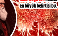 Kalın Bağırsak Kanserinin En Büyük Bulgusu