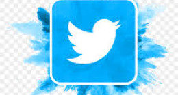 Bunlardan Birini Evinizde Görürseniz