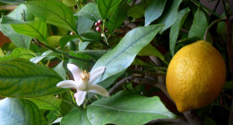 Herşey Doyana Kadar Evli Olan Herkes Okusun