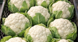 Doktorlar karnıbahar yemenin neden olduğu sebebini açıkladı