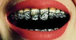 Yıllar önce bir bit pazarından kızıma bir oyuncak ayı almıştım. Onu kaybettikten sonra, o ayının içinde sakladığı şeyi öğrendiğimde dünyam ikinci kez yıkıldı.