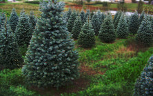 Kırmızı etlerde inanılmaz dolandırıcılık ortaya çıktı
