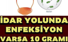 İdrar Yolu Enfeksiyonuna Doğal Çözüm