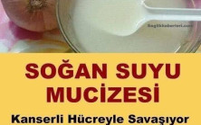 Kanserle mücadelede soğan suyu