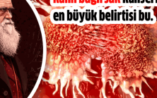 Kalın Bağırsak Kanserinin En Büyük Bulgusu