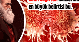 Kalın Bağırsak Kanserinin En Büyük Bulgusu