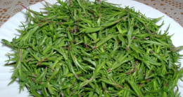 Hücreyi etkisiz kılan mucize baharat