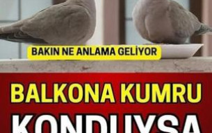Cama, Balkona Konduysa Dikkat!