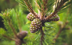 Tarım dünyasında her yıl yeni yöntemler, çiftçilerin yüzünü güldürüyor