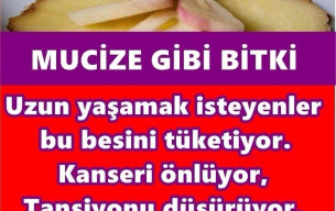 Kansersavar besinler listesi