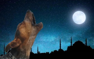 Köpekler Ezan Sesini Duyunca Neden Ulurlar Sorusu