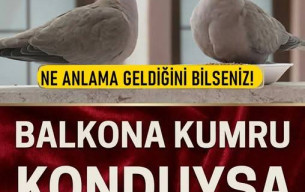 Pencereye Kumru Konması Ne Anlama Gelir